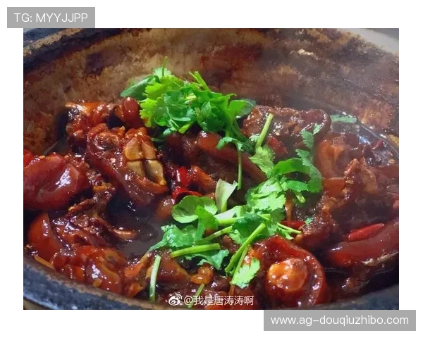 免费下载斗球旧版本大全，体验不同版本带来的新鲜感