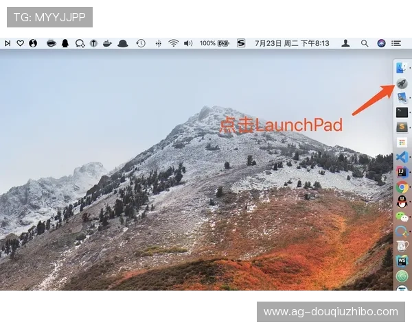 如何快速下载斗球直播苹果版并顺利安装使用指南 如何快速下载斗球直播苹果版并顺利安装使用指南