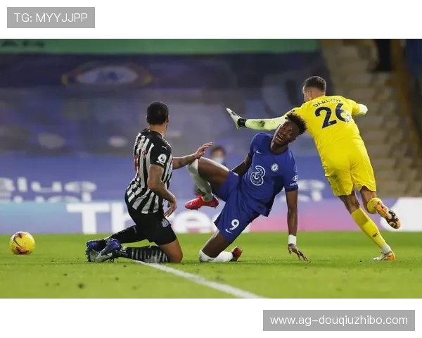 提供多种体育赛事直播的斗球网站有哪些值得足球迷们收藏和使用