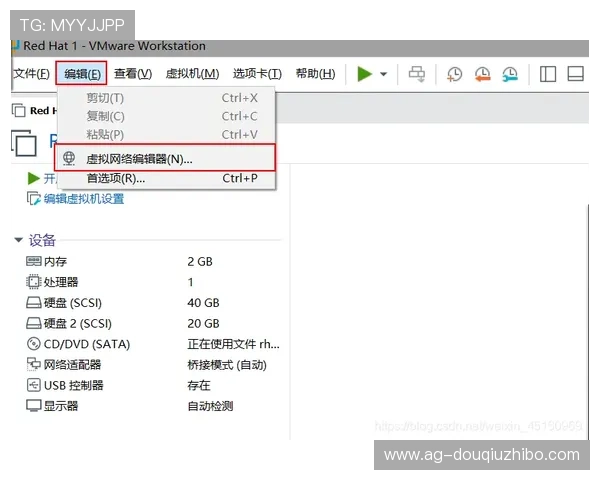 斗球体育电脑版下载安装教程，详细步骤帮助你轻松获取官方客户端