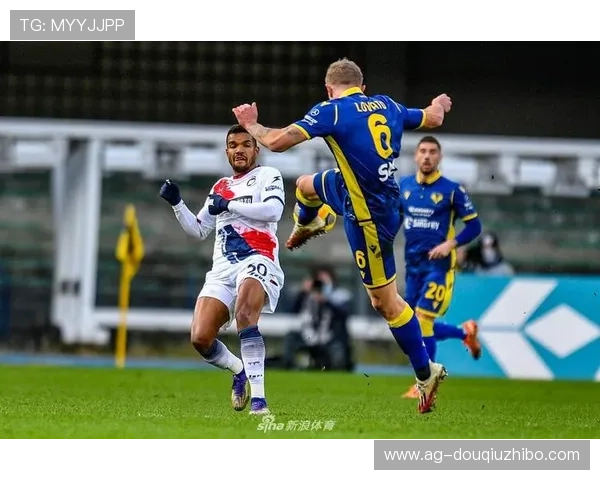 全面整理的斗球直播网站推荐指南，帮你找到最优质的足球直播平台和观看体验