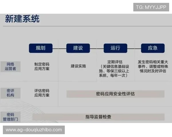 如何应对斗球官网无法登录的问题及详细排查步骤 如何应对斗球官网无法登录的问题及详细排查步骤