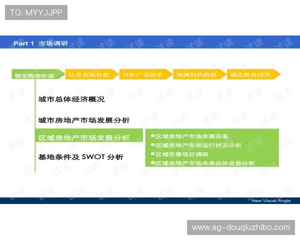 斗球tv板如何快速提升排名实用技巧与实战经验分享