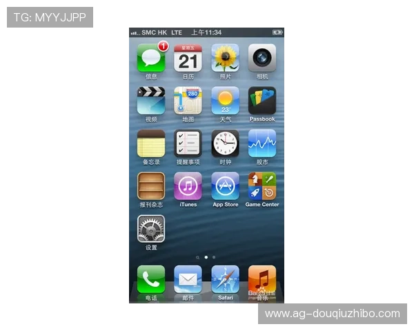 苹果设备上快速下载安装斗球iOS版的详细指南，确保每一步都顺利进行